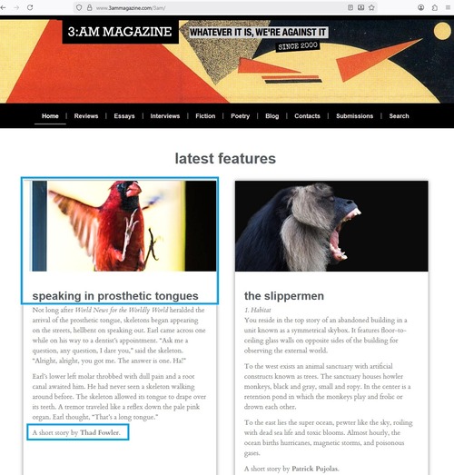 Screenshot of Speaking in Prosthetic Tongues in 3:AM Magazine